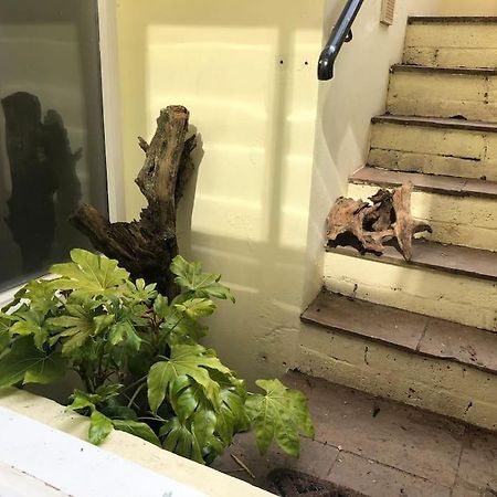 Beautiful, Well Positioned Flat In Clifton Wood Apartment Bristol Bagian luar foto