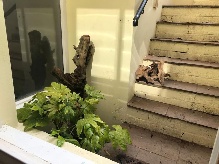 Beautiful, Well Positioned Flat In Clifton Wood Apartment Bristol Bagian luar foto