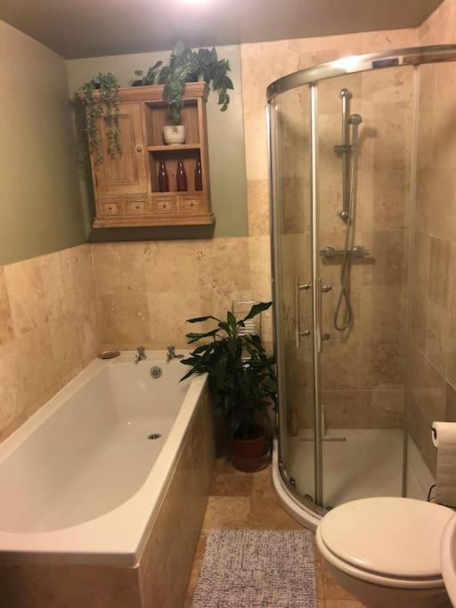 Beautiful, Well Positioned Flat In Clifton Wood Apartment Bristol Bagian luar foto